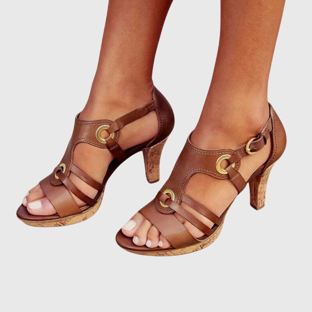 Brown Terra / 12