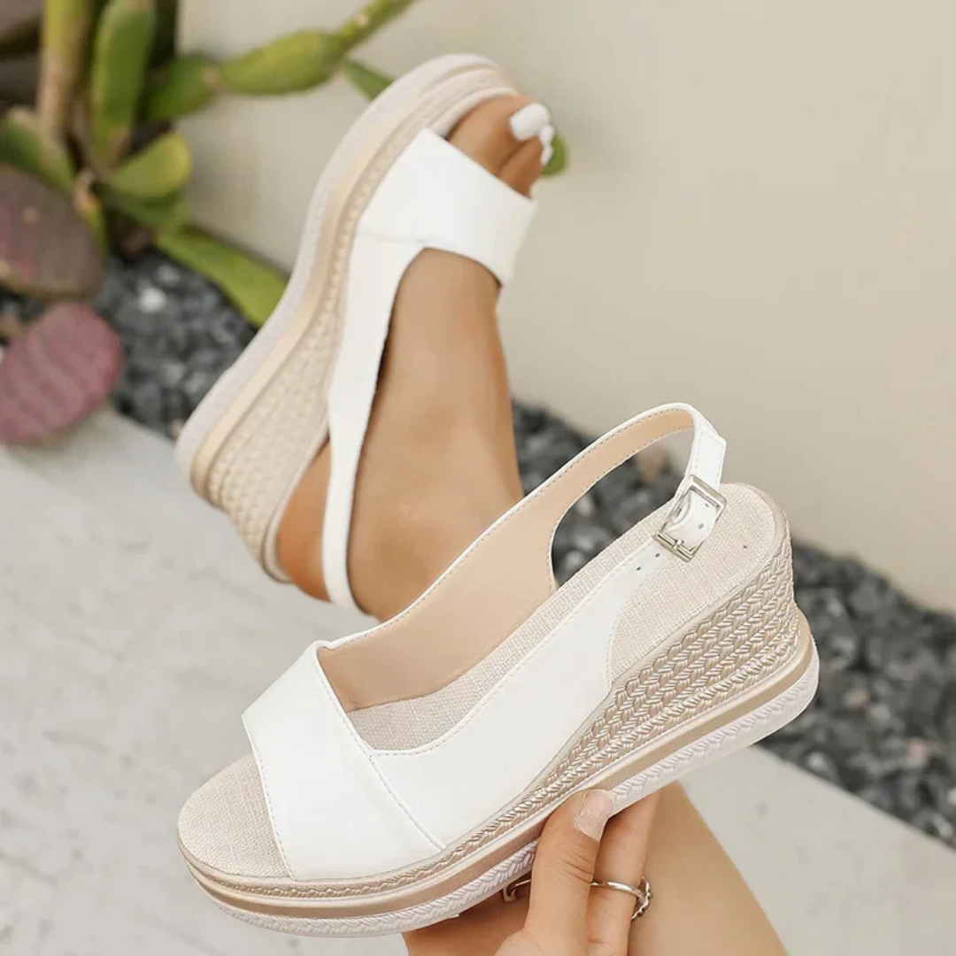 White / 43